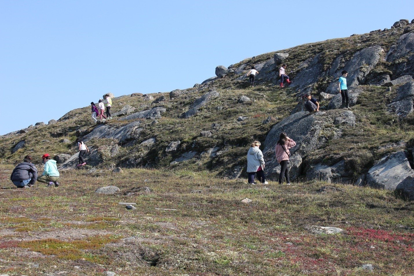 Figure 1: Students engage in a nature scavenger hunt identifying different plants that grow on the Tundra