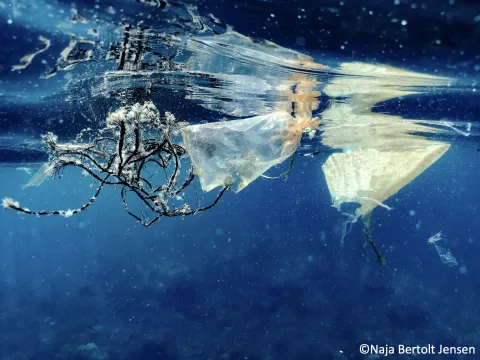 Floating plastic in the ocean