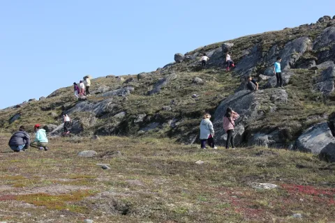 Figure 1: Students engage in a nature scavenger hunt identifying different plants that grow on the Tundra