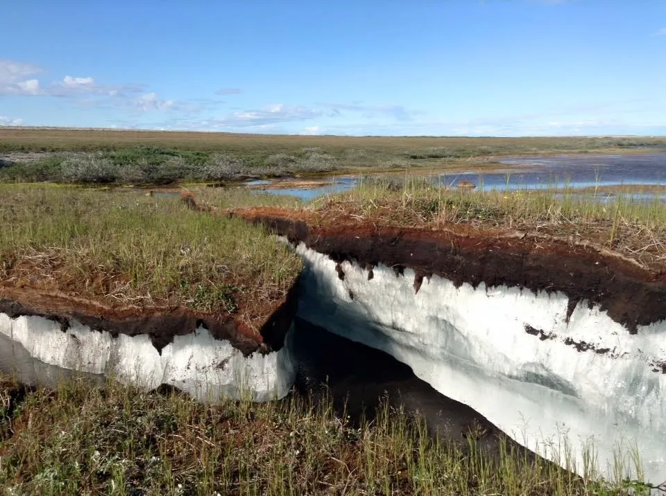 Permafrost Heaving in Coral Harbour Nunavut